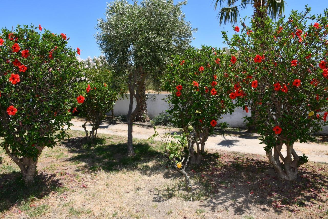 Kos Olympia Apartments At Lambi Beach Exterior photo
